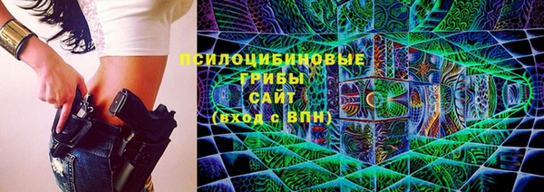 ПСИЛОЦИБИНОВЫЕ ГРИБЫ Коряжма