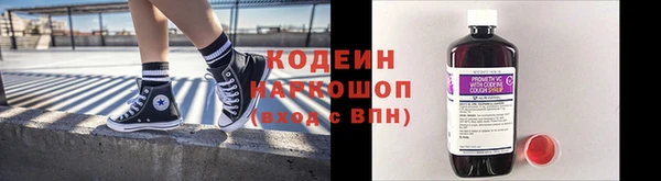 молекула духа Козловка