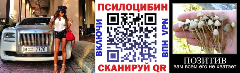 Псилоцибиновые грибы Psilocybe  Козьмодемьянск 